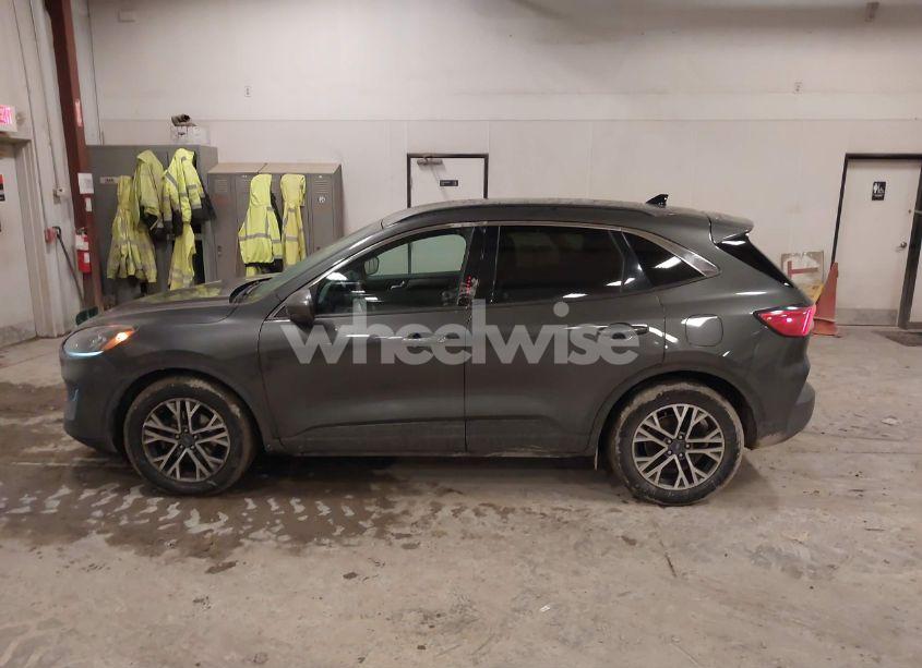 Photo 14 of 2020 Ford Escape SEL (VIN 1FMCU0H60LUA14872)