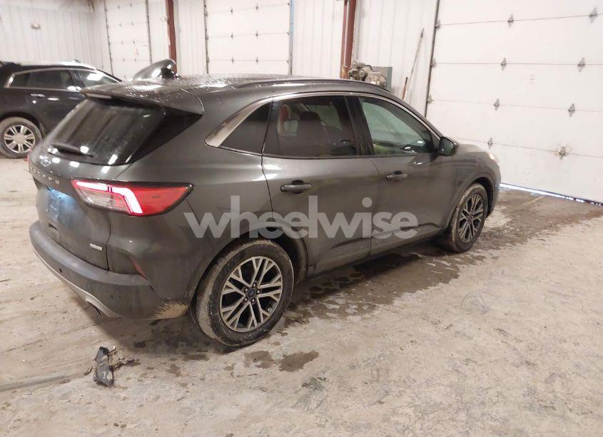 Photo 4 of 2020 Ford Escape SEL (VIN 1FMCU0H60LUA14872)
