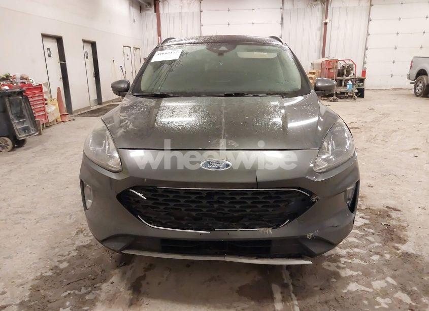 Photo 6 of 2020 Ford Escape SEL (VIN 1FMCU0H60LUA14872)