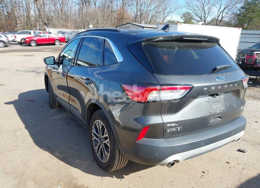 Photo 3 of 2020 Ford Escape SEL (VIN 1FMCU0H60LUC28356)