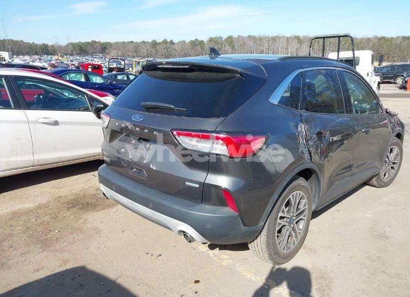 Photo 4 of 2020 Ford Escape SEL (VIN 1FMCU0H60LUC28356)