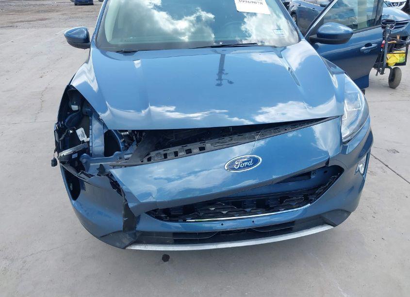 Photo 6 of 2020 Ford Escape SEL (VIN 1FMCU0H60LUC32665)