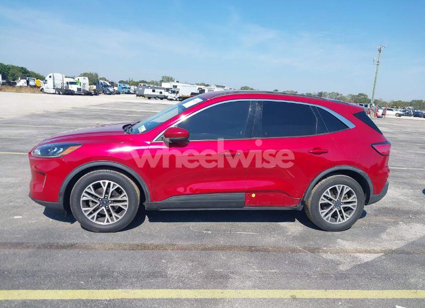 Photo 14 of 2020 Ford Escape SEL (VIN 1FMCU0H62LUC21537)