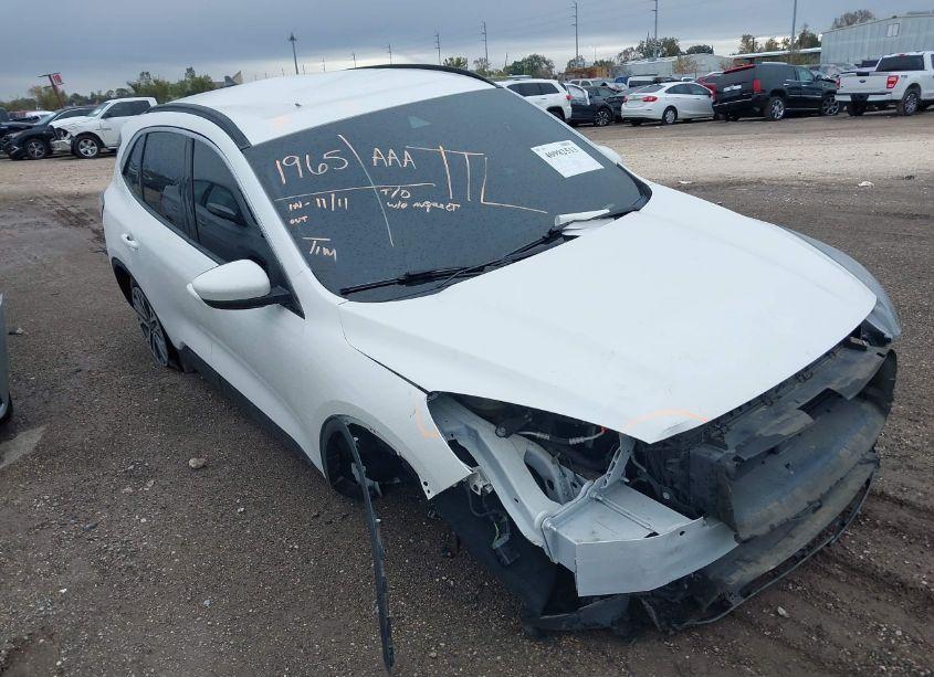 2020 Ford Escape SEL (VIN 1FMCU0H62LUC58765) main photo