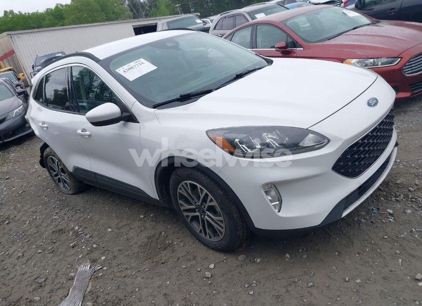 2020 Ford Escape SEL (VIN 1FMCU0H63LUA81045) main photo
