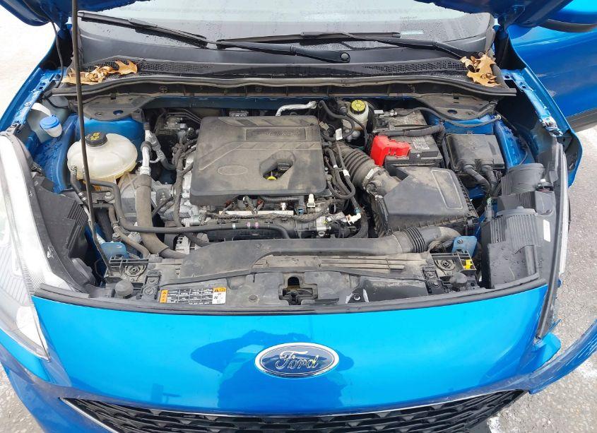 Photo 10 of 2020 Ford Escape SEL (VIN 1FMCU0H64LUA76873)