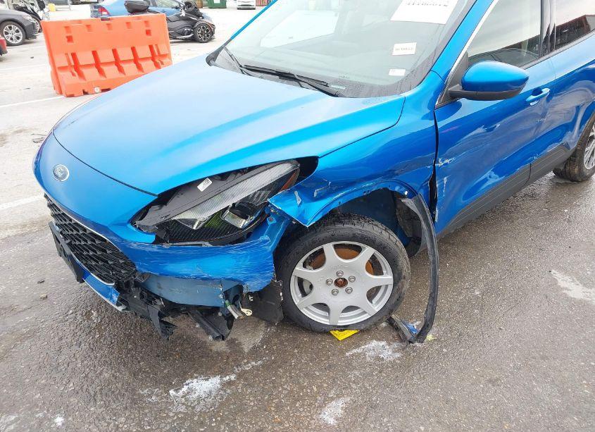 Photo 6 of 2020 Ford Escape SEL (VIN 1FMCU0H64LUA76873)