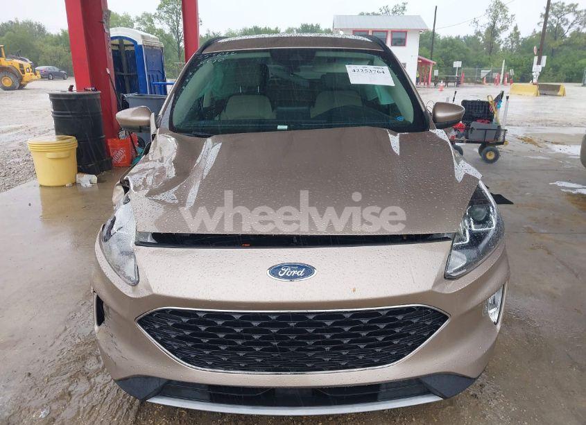 Photo 12 of 2020 Ford Escape SEL (VIN 1FMCU0H64LUB89853)