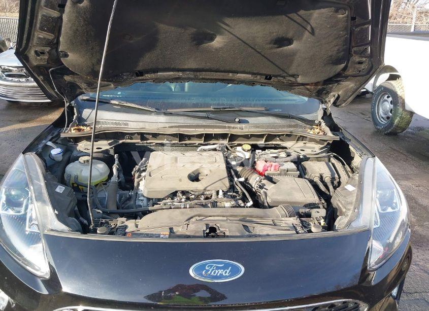 Photo 10 of 2020 Ford Escape SEL (VIN 1FMCU0H66LUB65697)