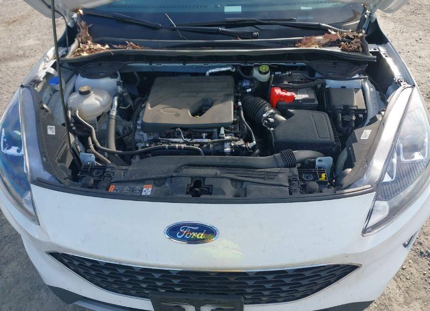 Photo 10 of 2020 Ford Escape SEL (VIN 1FMCU0H66LUC21430)