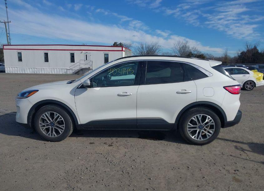 Photo 14 of 2020 Ford Escape SEL (VIN 1FMCU0H66LUC21430)