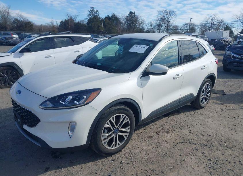 Photo 2 of 2020 Ford Escape SEL (VIN 1FMCU0H66LUC21430)