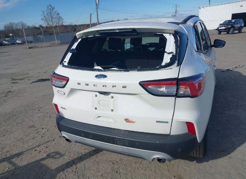 Photo 6 of 2020 Ford Escape SEL (VIN 1FMCU0H66LUC21430)