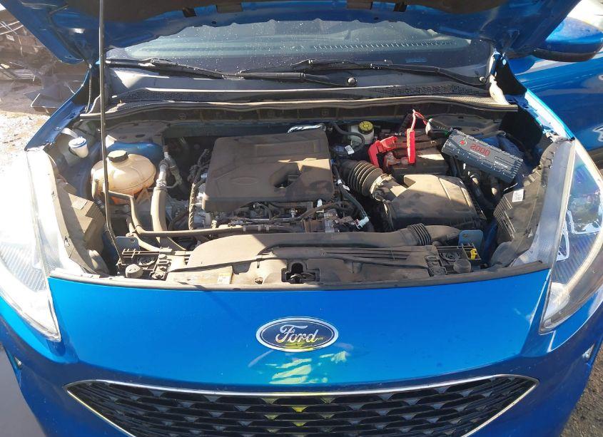 Photo 10 of 2020 Ford Escape SEL (VIN 1FMCU0H67LUB20526)