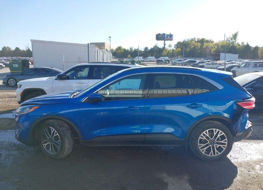 Photo 14 of 2020 Ford Escape SEL (VIN 1FMCU0H67LUB20526)