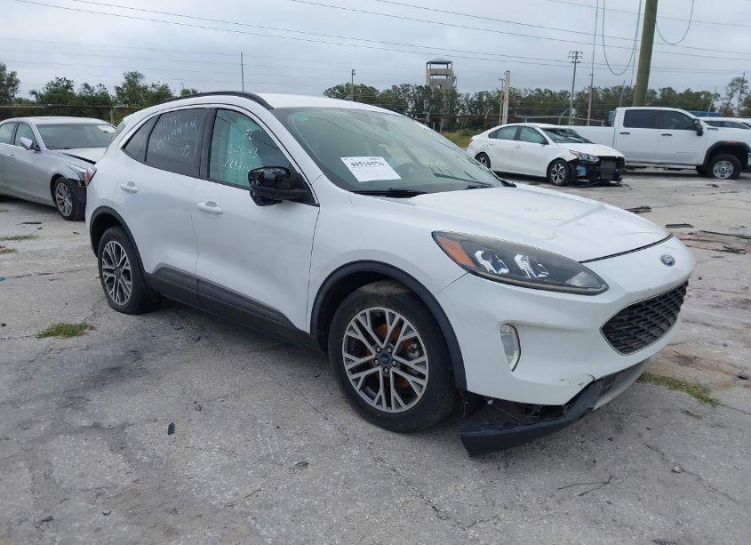 2020 Ford Escape SEL (VIN 1FMCU0H68LUA81171) main photo