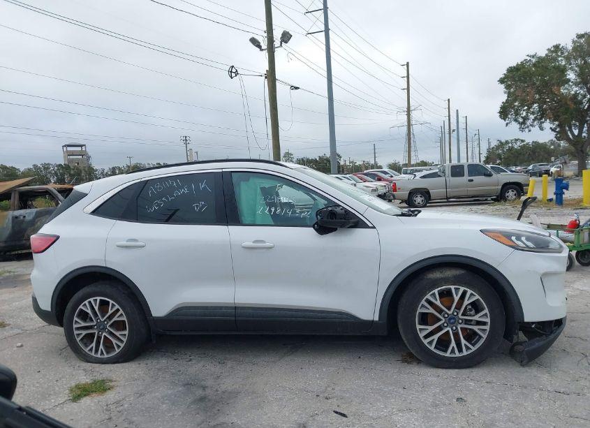 Photo 14 of 2020 Ford Escape SEL (VIN 1FMCU0H68LUA81171)