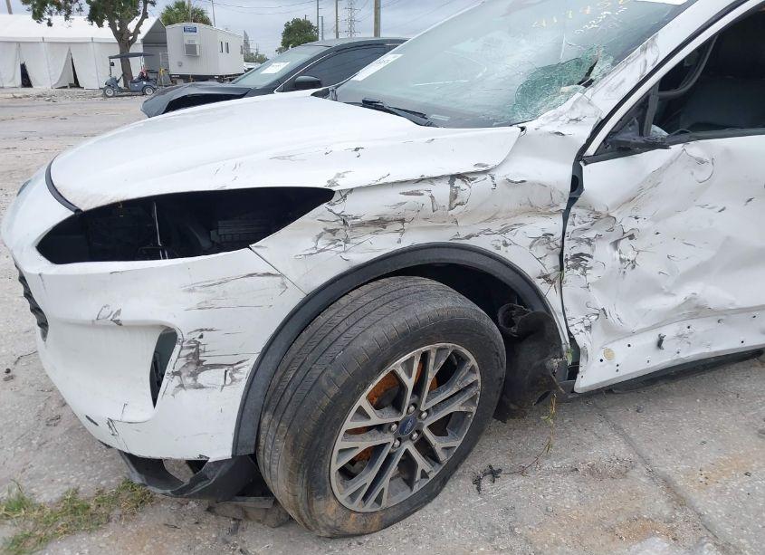 Photo 6 of 2020 Ford Escape SEL (VIN 1FMCU0H68LUA81171)