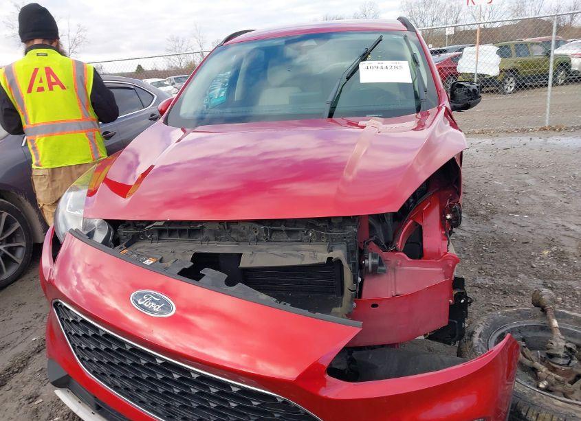 Photo 13 of 2020 Ford Escape SEL (VIN 1FMCU0H68LUB14444)