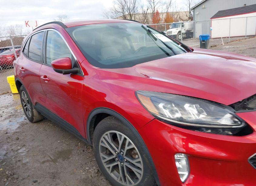 Photo 14 of 2020 Ford Escape SEL (VIN 1FMCU0H68LUB14444)