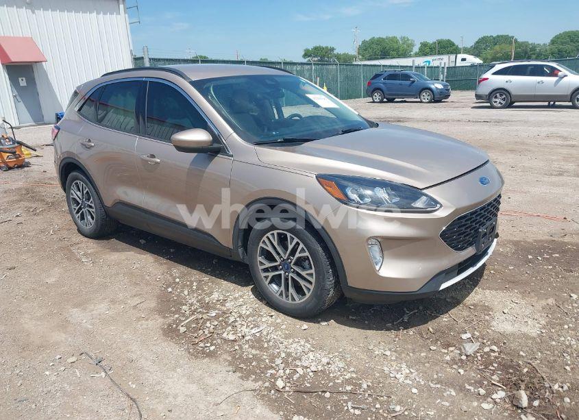 2020 Ford Escape SEL (VIN 1FMCU0H69LUB23895) main photo