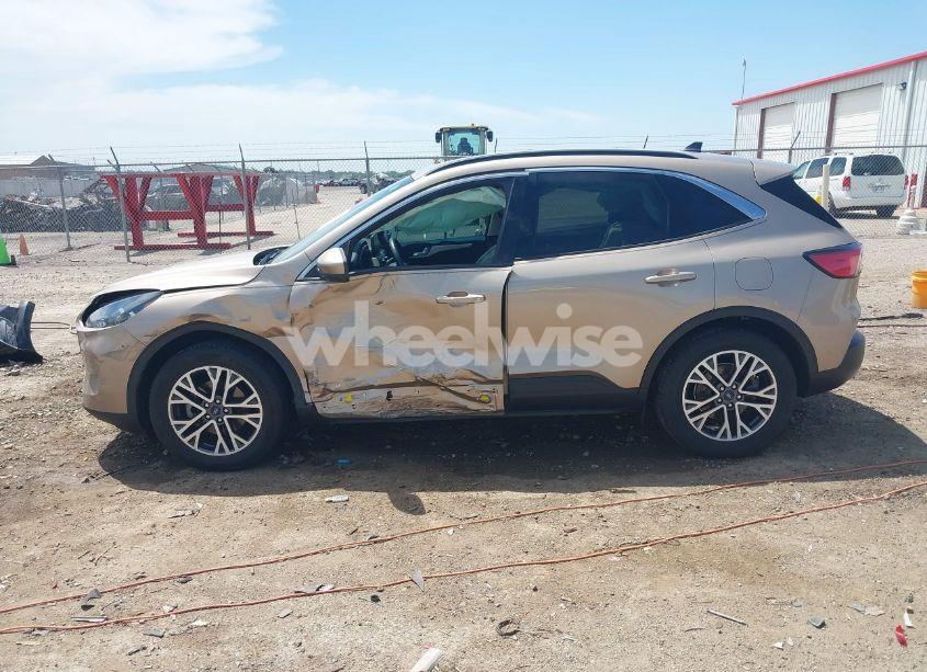 Photo 15 of 2020 Ford Escape SEL (VIN 1FMCU0H69LUB23895)