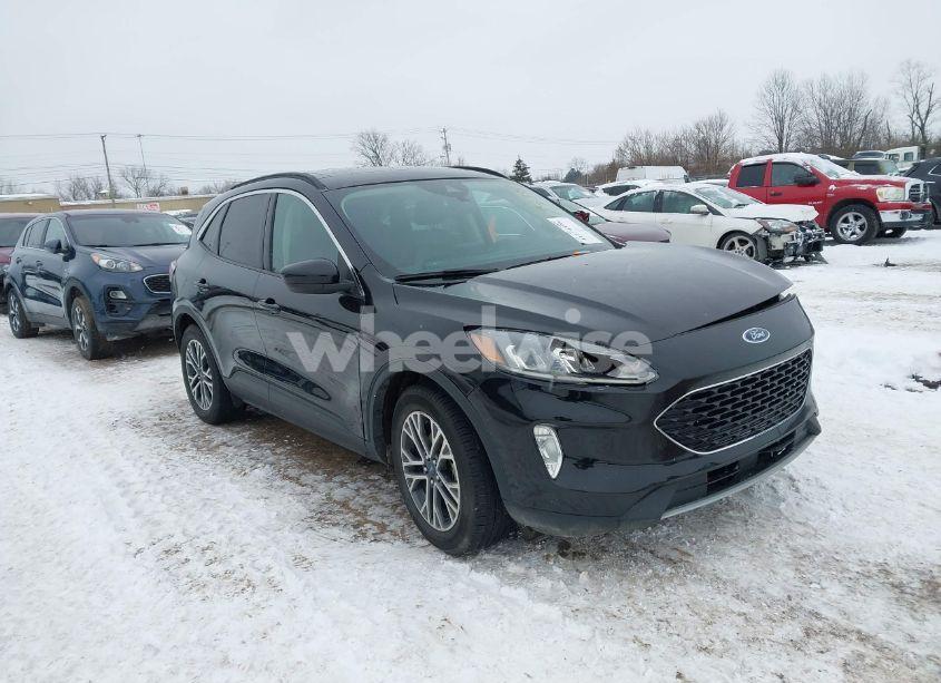 2020 Ford Escape SEL (VIN 1FMCU0H69LUC24046) main photo