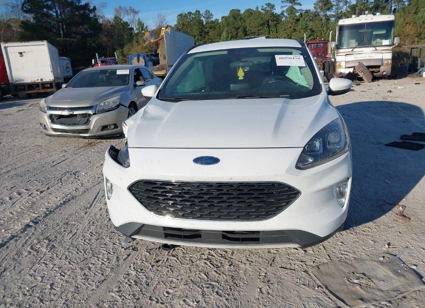 Photo 12 of 2020 Ford Escape SEL (VIN 1FMCU0H6XLUA22932)