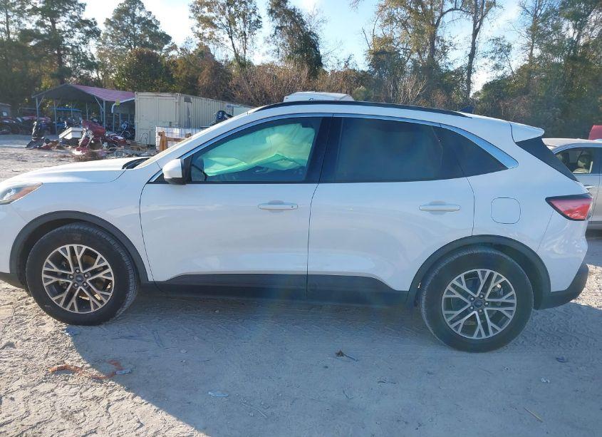 Photo 14 of 2020 Ford Escape SEL (VIN 1FMCU0H6XLUA22932)