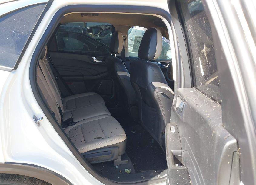 Photo 8 of 2021 Ford Escape SEL (VIN 1FMCU0H6XMUB19002)