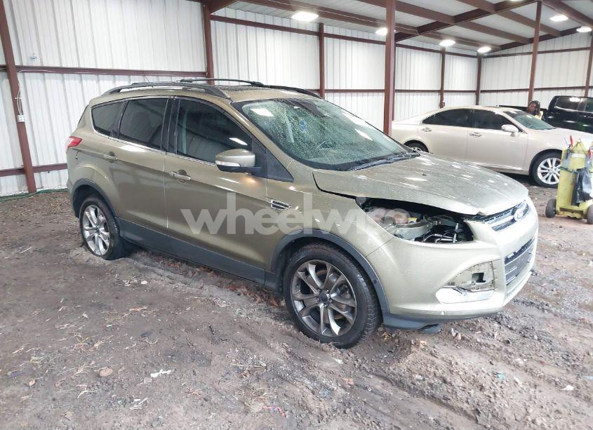 2013 Ford Escape SEL (VIN 1FMCU0H90DUB45442) main photo