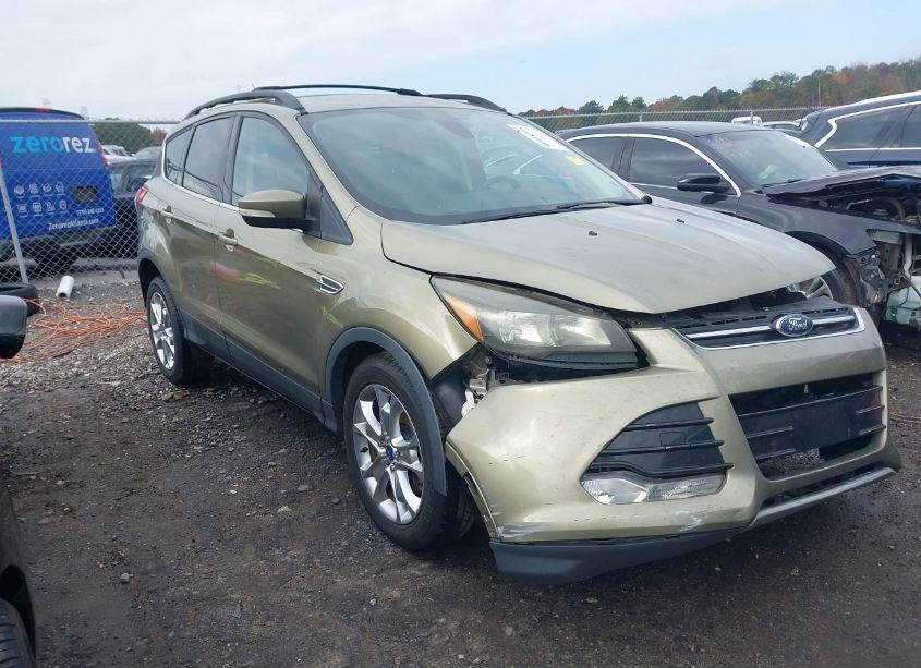2013 Ford Escape SEL (VIN 1FMCU0H90DUC12525) main photo