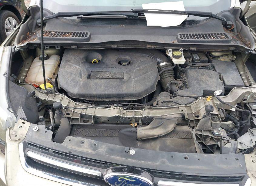 Photo 10 of 2013 Ford Escape SEL (VIN 1FMCU0H90DUC12525)