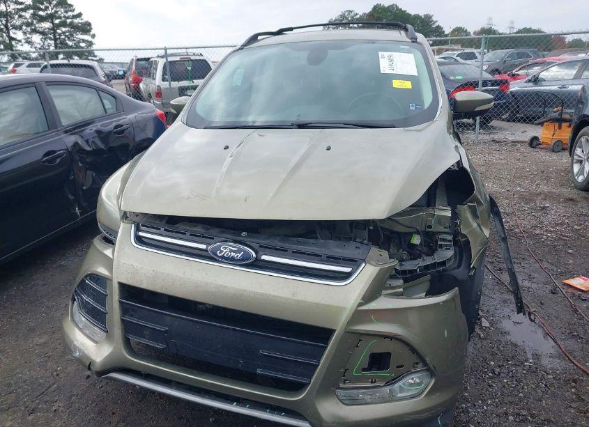 Photo 13 of 2013 Ford Escape SEL (VIN 1FMCU0H90DUC12525)
