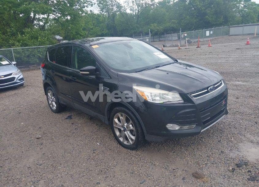2013 Ford Escape SEL (VIN 1FMCU0H90DUD11166) main photo