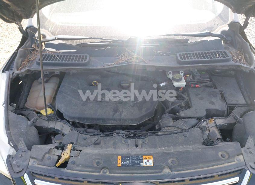 Photo 10 of 2013 Ford Escape SEL (VIN 1FMCU0H91DUC47557)