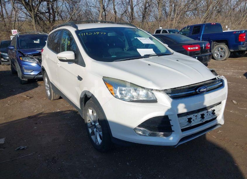 2013 Ford Escape SEL (VIN 1FMCU0H91DUD36738) main photo