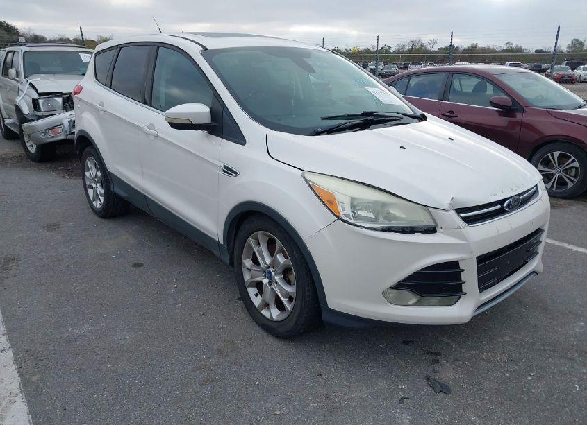2013 Ford Escape SEL (VIN 1FMCU0H92DUA10818) main photo