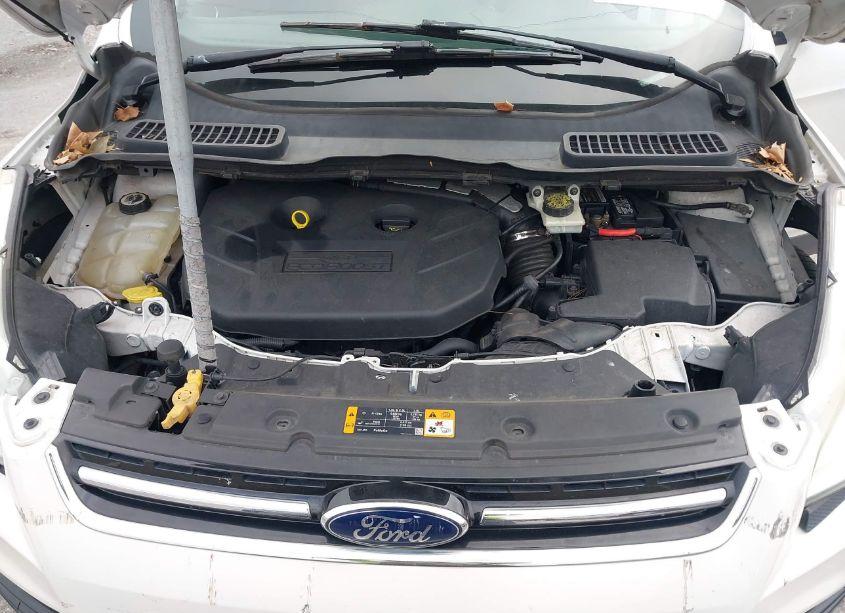 Photo 10 of 2013 Ford Escape SEL (VIN 1FMCU0H92DUA10818)