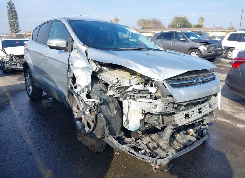 2013 Ford Escape SEL (VIN 1FMCU0H92DUA18255) main photo