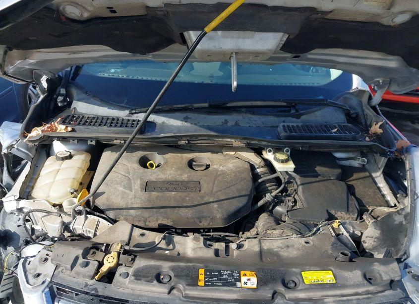 Photo 10 of 2013 Ford Escape SEL (VIN 1FMCU0H92DUA18255)