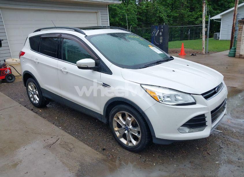2013 Ford Escape SEL (VIN 1FMCU0H92DUA70999) main photo