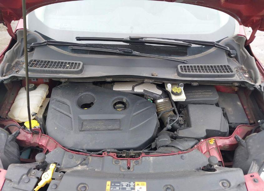 Photo 10 of 2013 Ford Escape SEL (VIN 1FMCU0H93DUA38546)