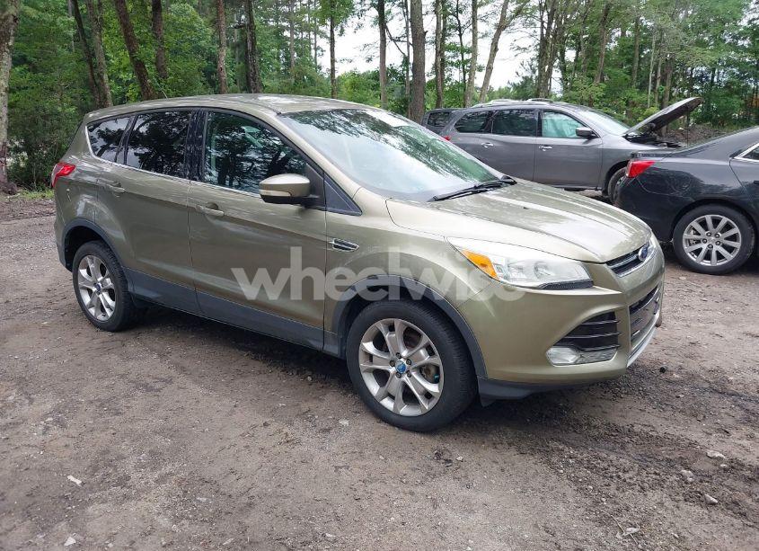 2013 Ford Escape SEL (VIN 1FMCU0H93DUC79670) main photo