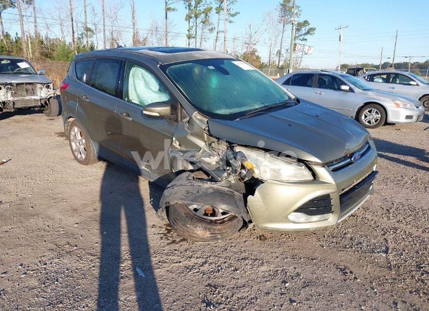 2013 Ford Escape SEL (VIN 1FMCU0H95DUC56732) main photo