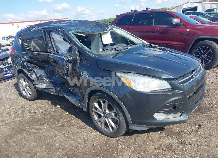 2013 Ford Escape SEL (VIN 1FMCU0H96DUA34734) main photo