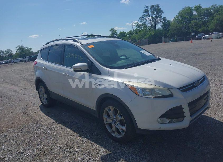 2013 Ford Escape SEL (VIN 1FMCU0H97DUA83702) main photo
