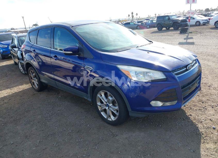 2013 Ford Escape SEL (VIN 1FMCU0H97DUD11116) main photo