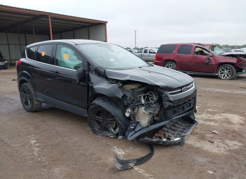 2013 Ford Escape SEL (VIN 1FMCU0H98DUB36374) main photo
