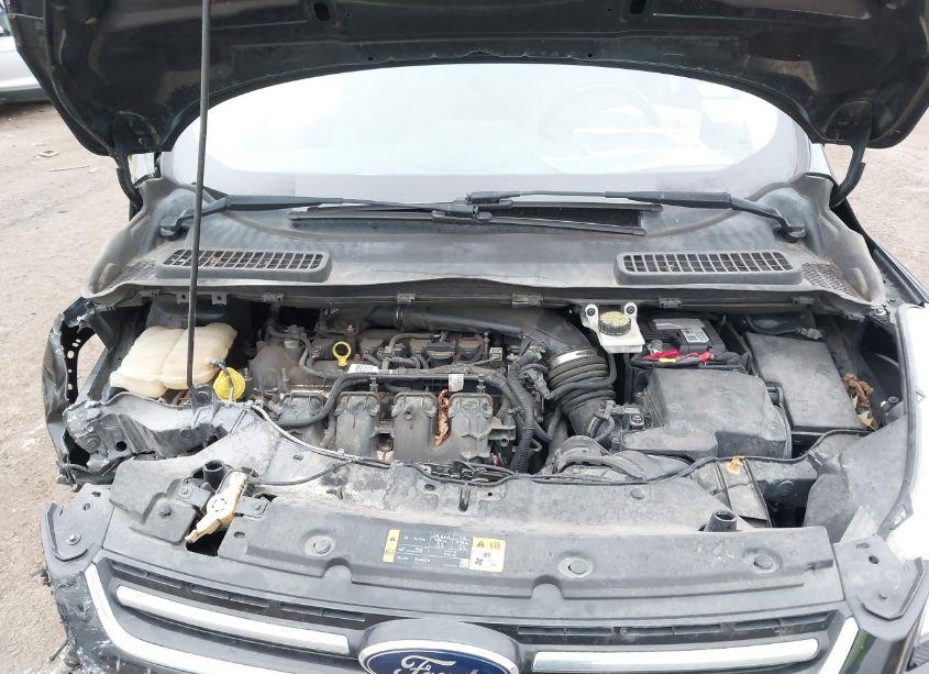 Photo 10 of 2013 Ford Escape SEL (VIN 1FMCU0H98DUB36374)